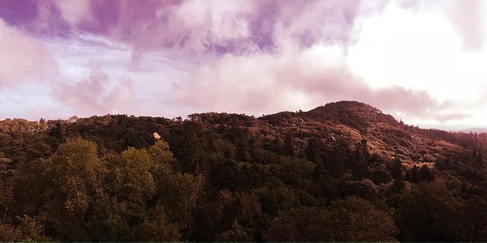 Landscape in Sintra-Cascais Natural Park